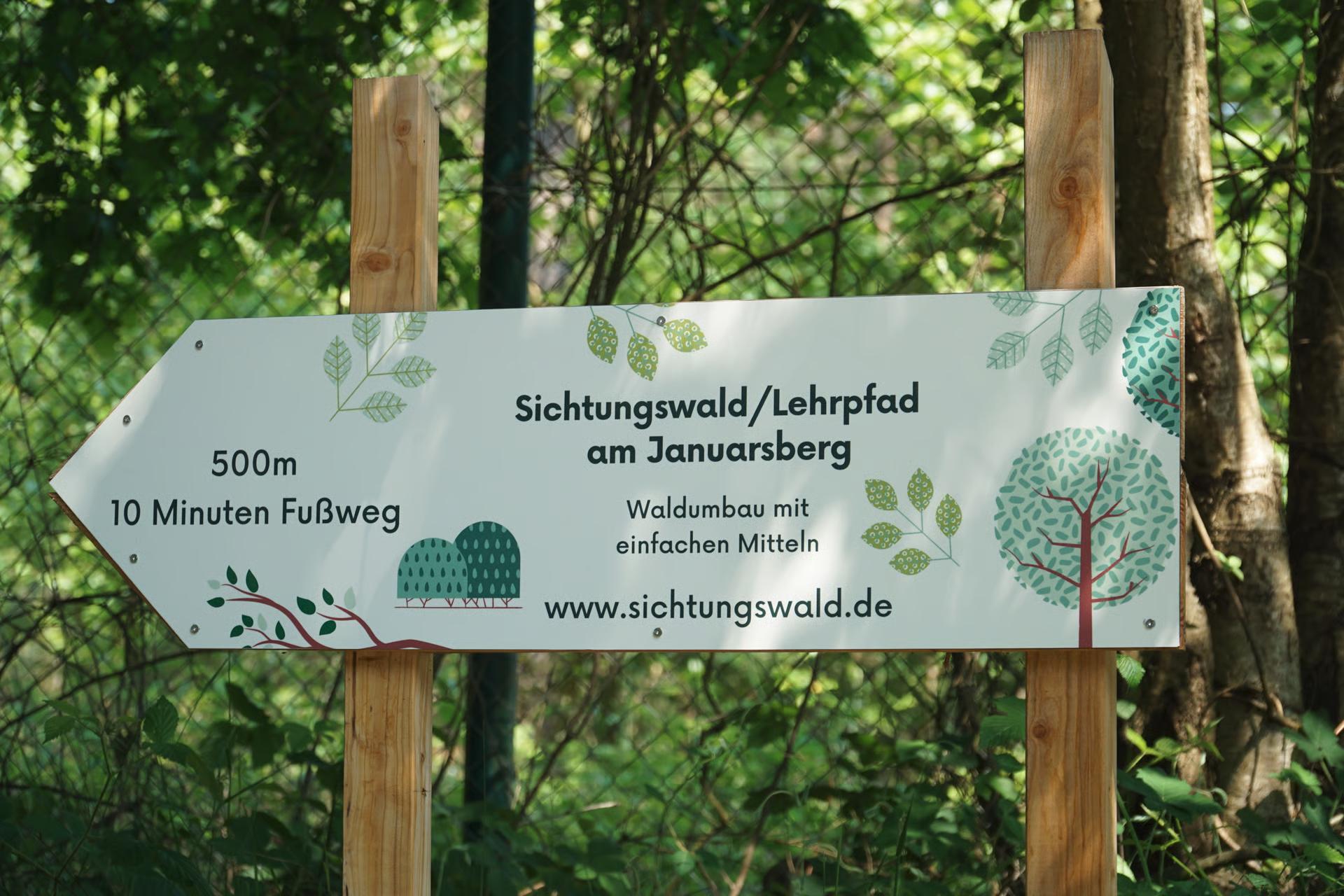 Sichtungswald